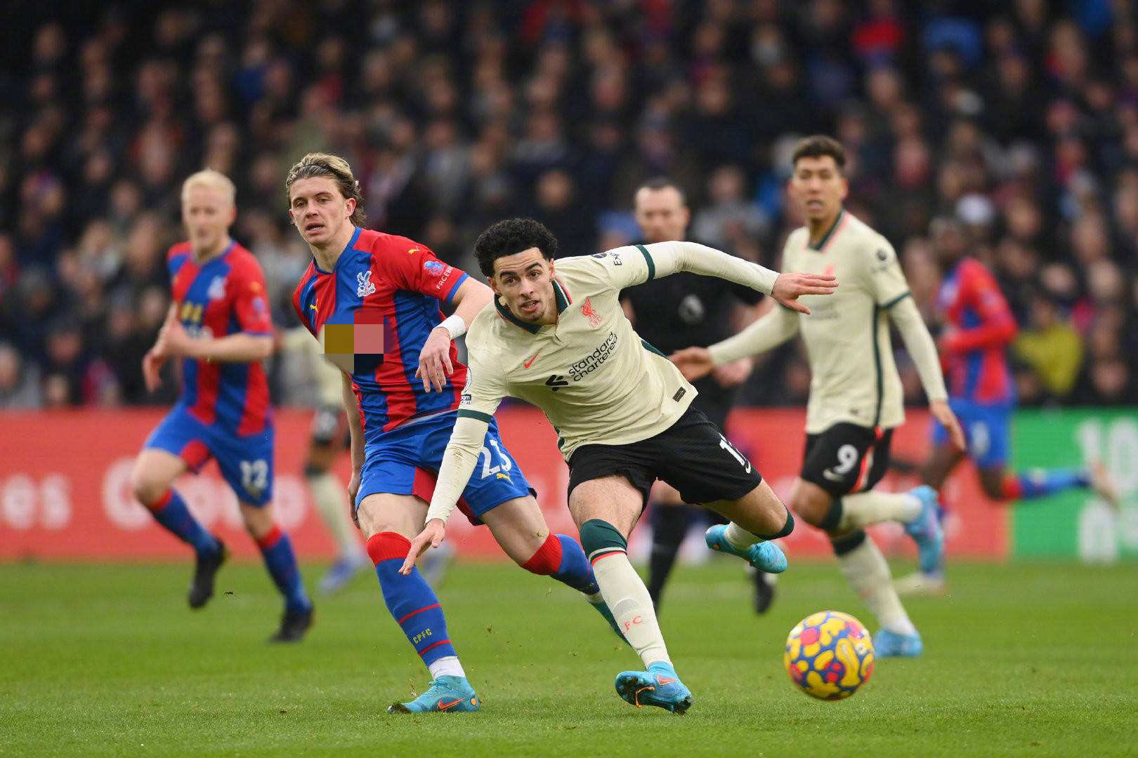 具体案例 具体案例